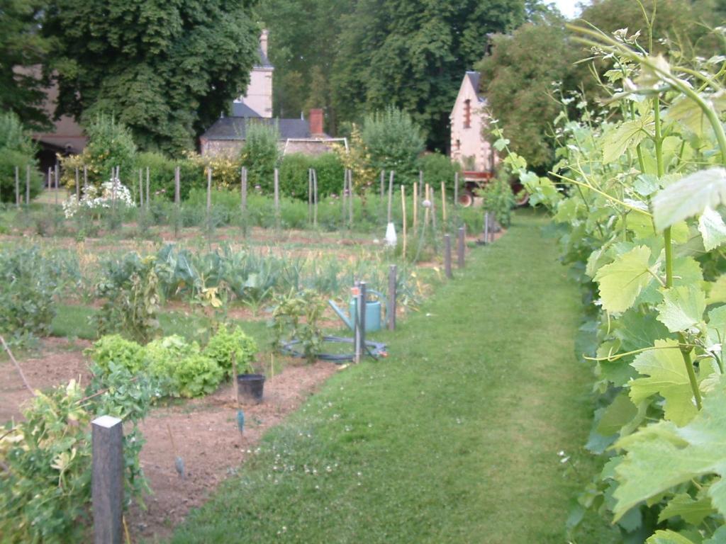 Chateau Du Beugnon Bed & Breakfast Tigné Екстериор снимка