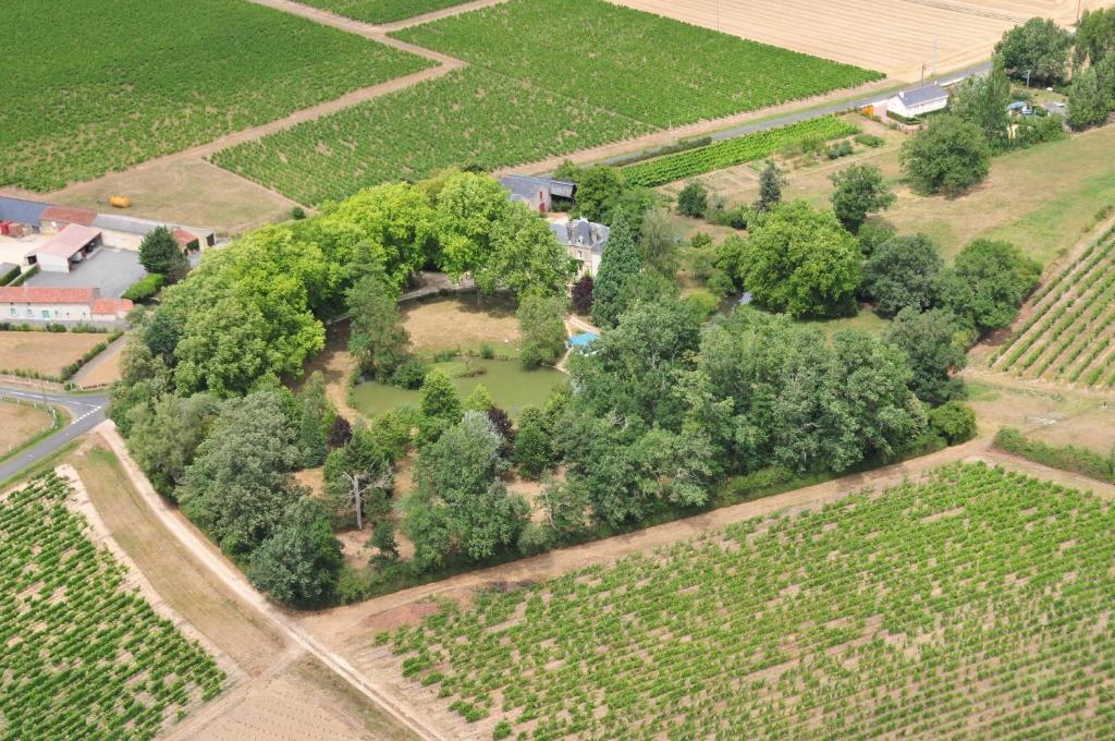 Chateau Du Beugnon Bed & Breakfast Tigné Екстериор снимка
